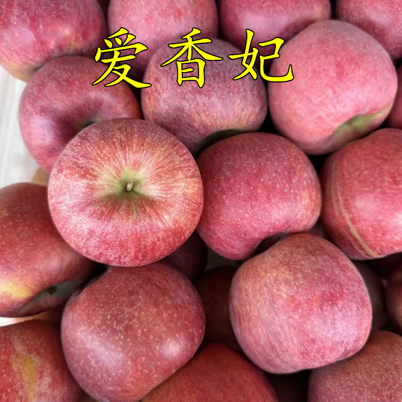 爱香妃苹果苗地栽南方北方种值成活率高口感好脆甜多汁