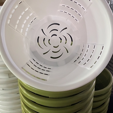 树脂测控4号无托白色5个