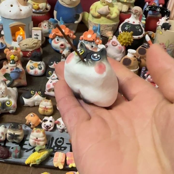 陶瓷陶瓷陶瓷陶瓷陶瓷陶瓷陶瓷