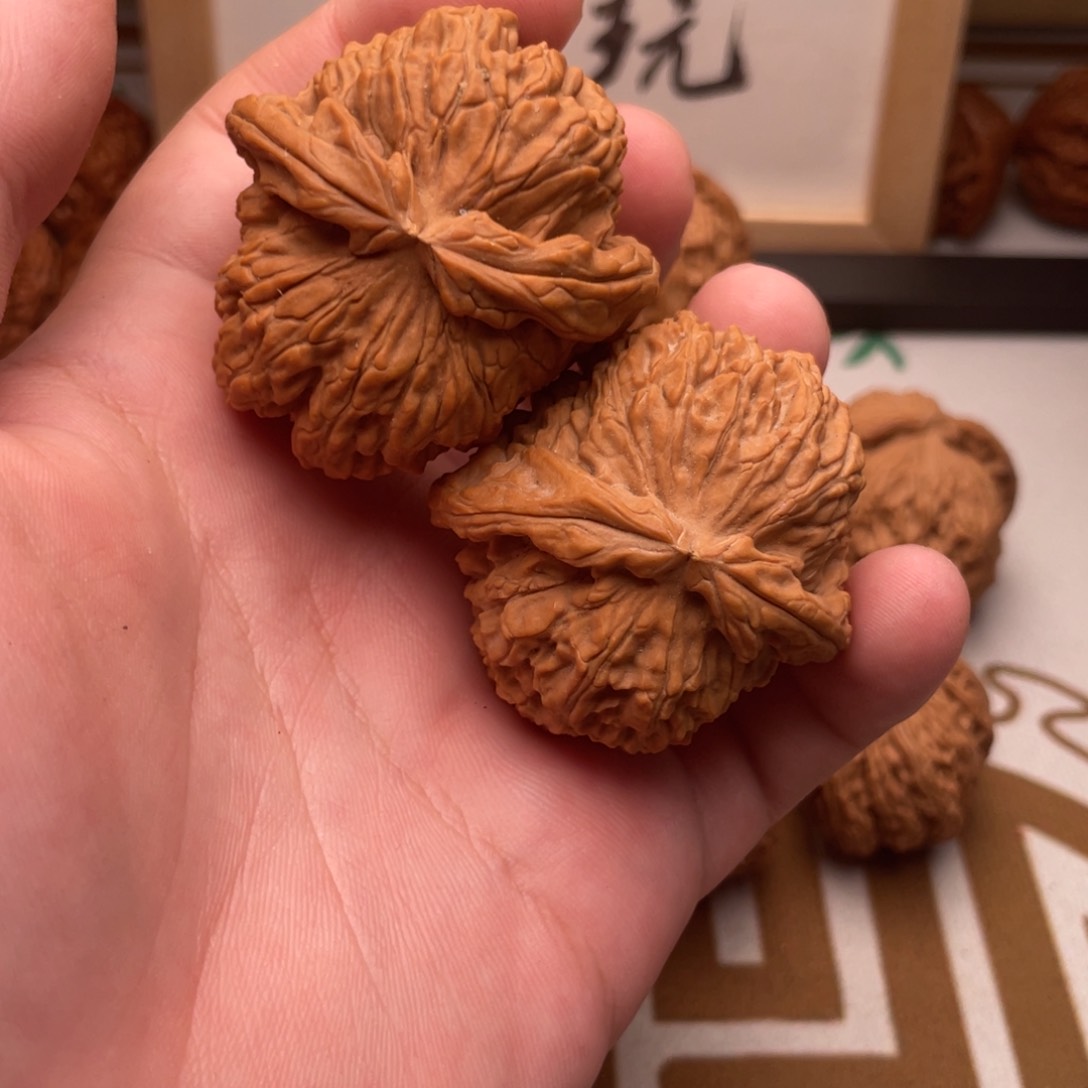 张*文玩核桃文玩核桃3