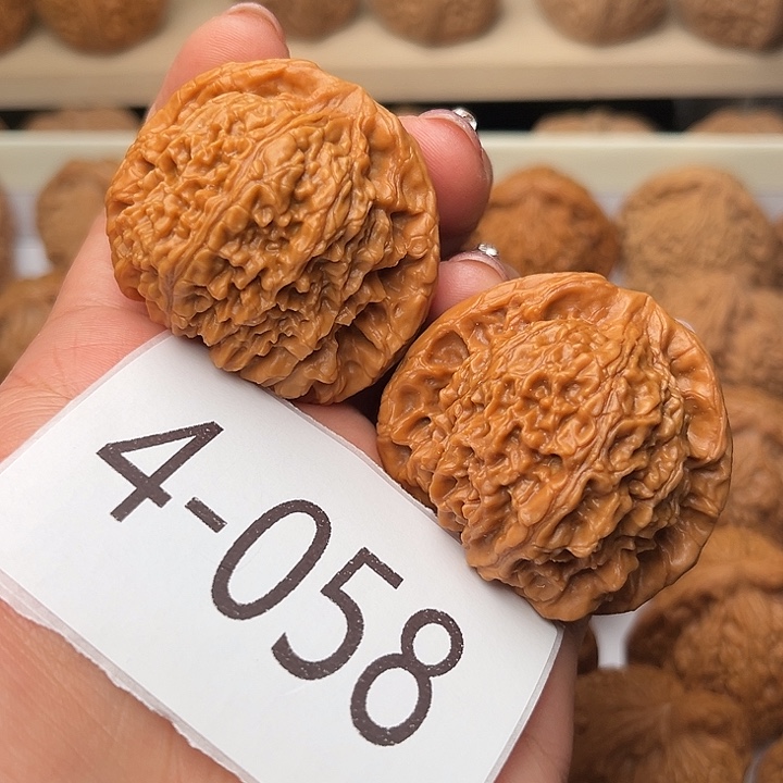 核桃43全品南疆石4058