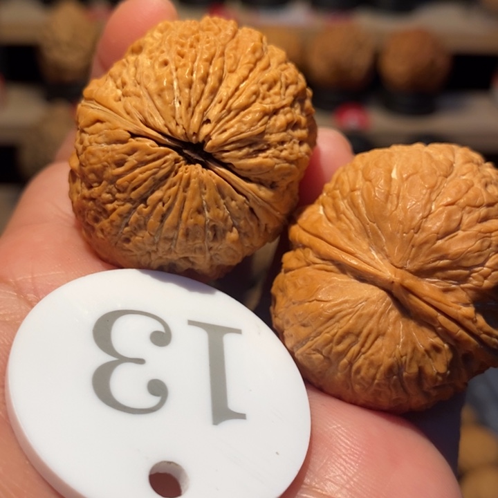 木质类金丝绣球38尺寸