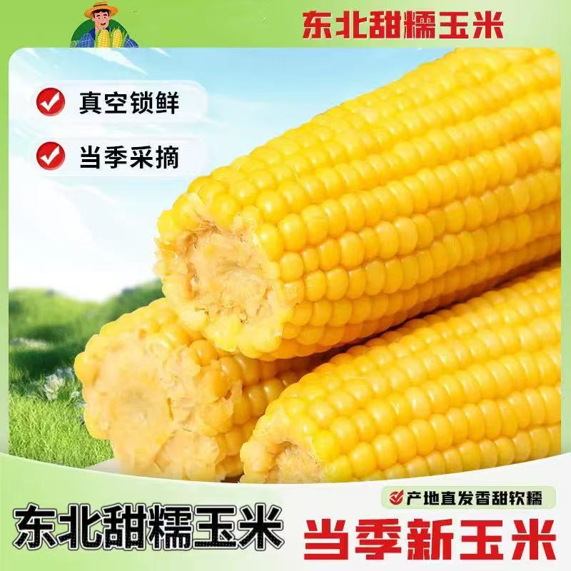 【开年福利】精选大棒黄糯新玉米单根280克以上试吃两棒整箱7斤左右