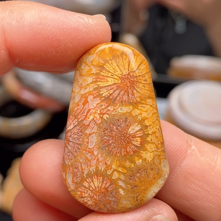 硅化珊瑚（珊瑚玉）手镯未镶嵌