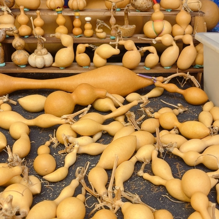 @****》蚂蚁蚂蚁蚂蚁蚂蚁