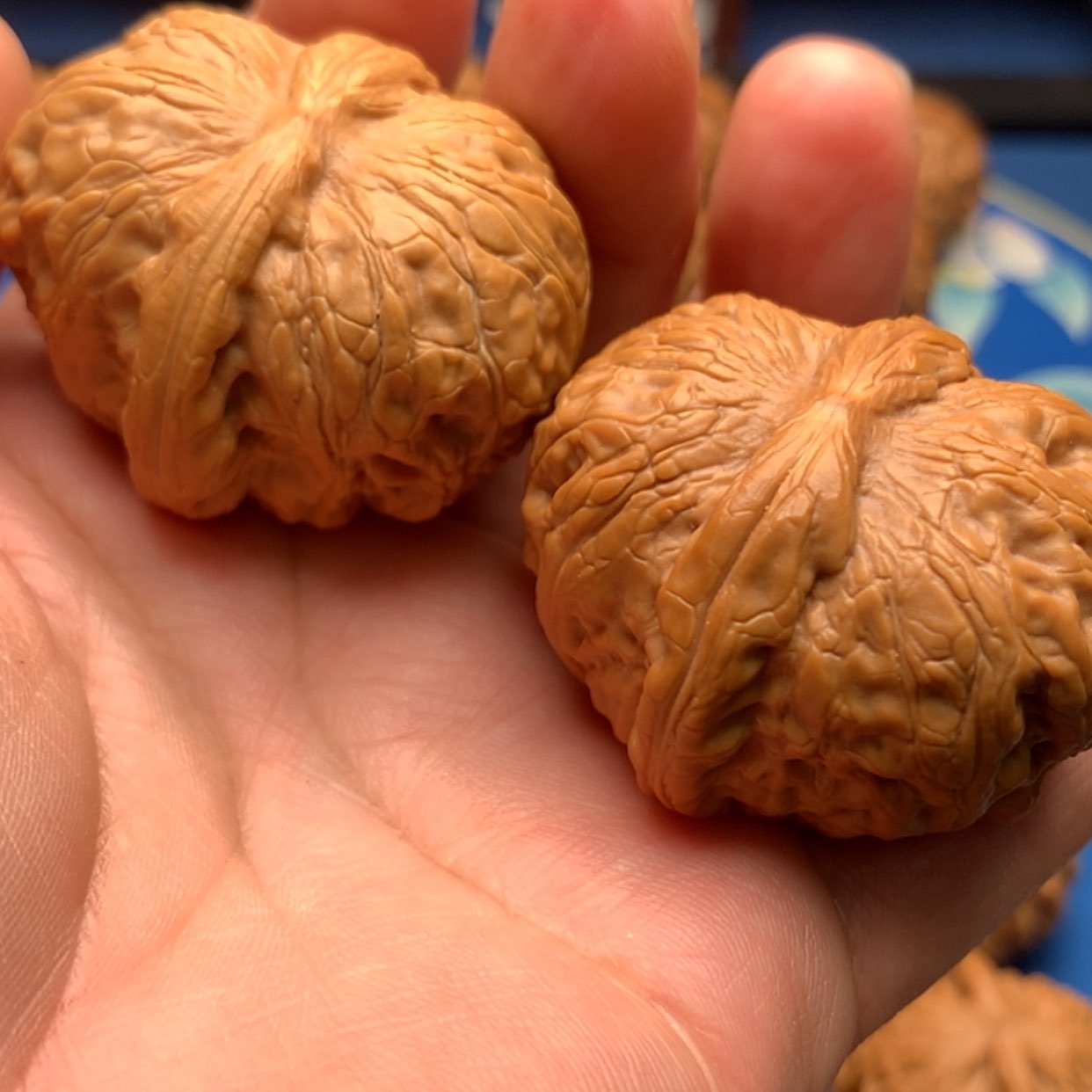 【闪购商品】文玩核桃把件茶**色元宝42