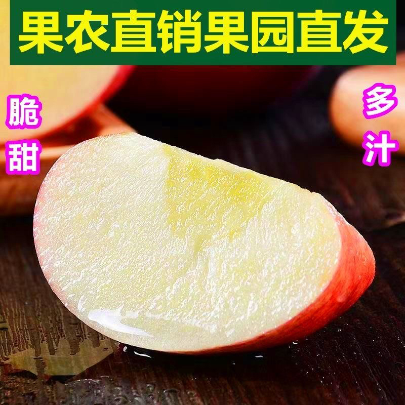 正宗大沙河红富士苹果新鲜当季脆甜多汁孕妇水果冰糖心丑苹果