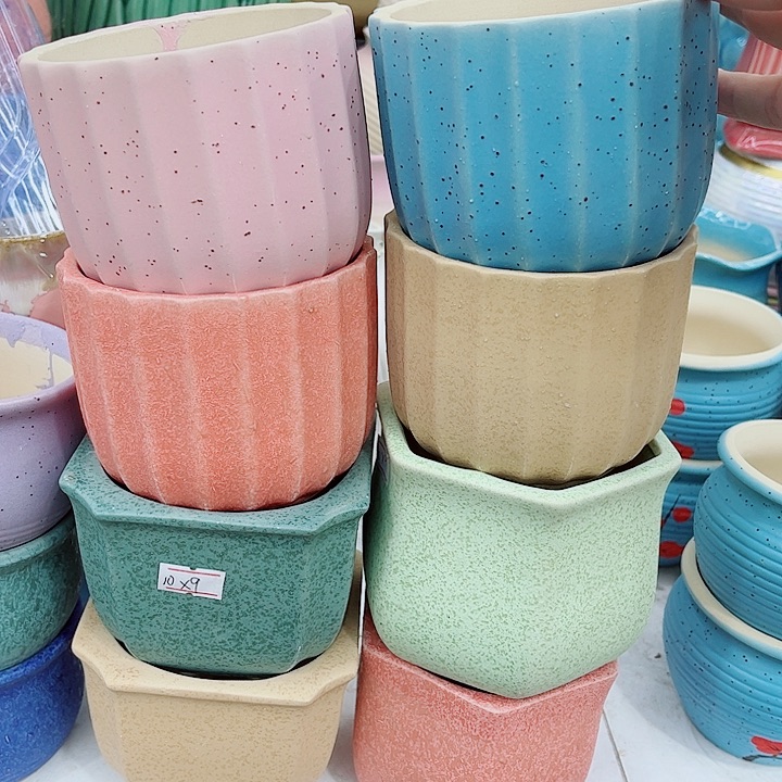 多肉植物陶瓷花盆