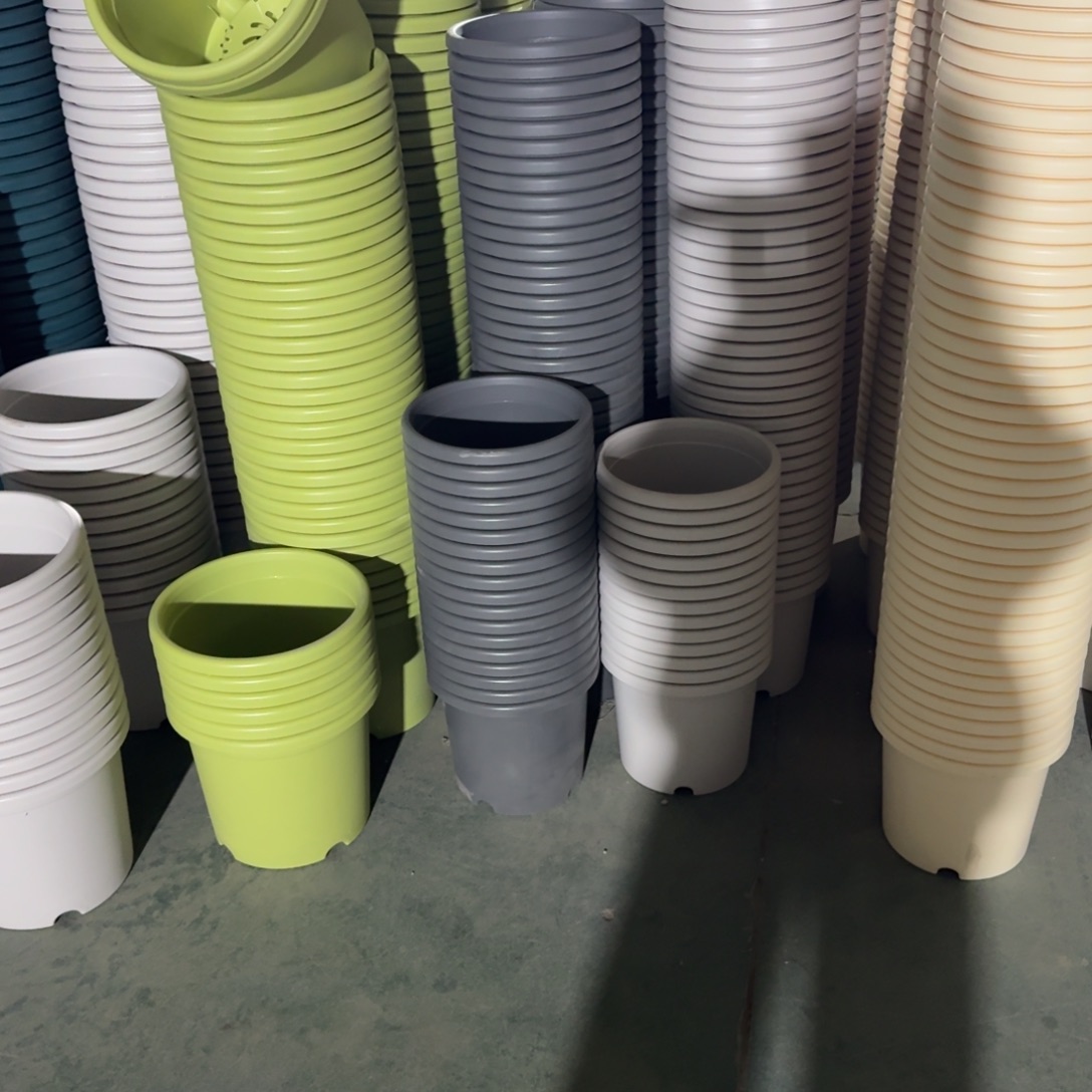 四季4号盆10个盆的盆