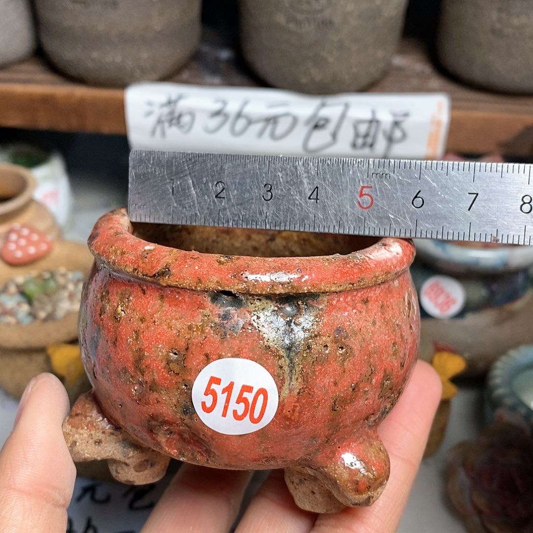 红陶拍5送一个小