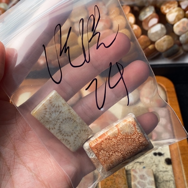 浩***彬颈饰未镶嵌硅化珊瑚（珊瑚玉）