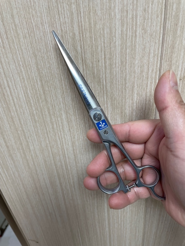 日本剪刀沃科森七寸成色嘎嘎好