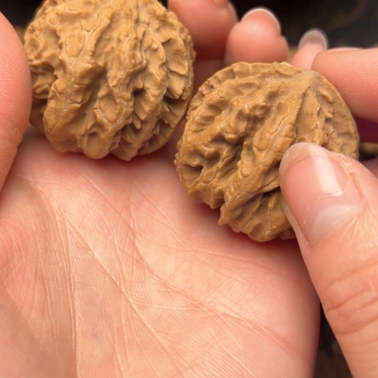 文玩核桃吊坠秦岭核桃2