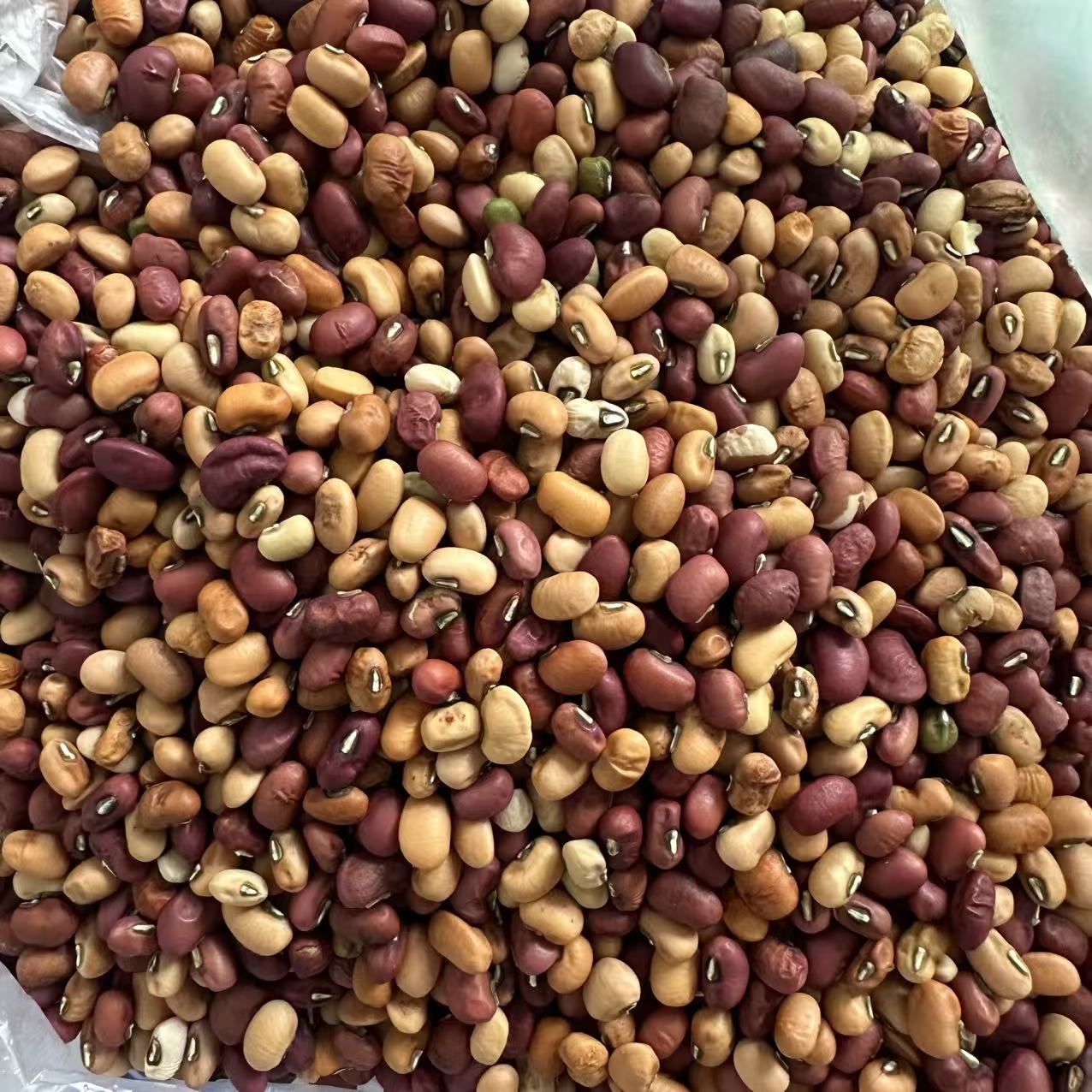 四川农家豆子 饭豆