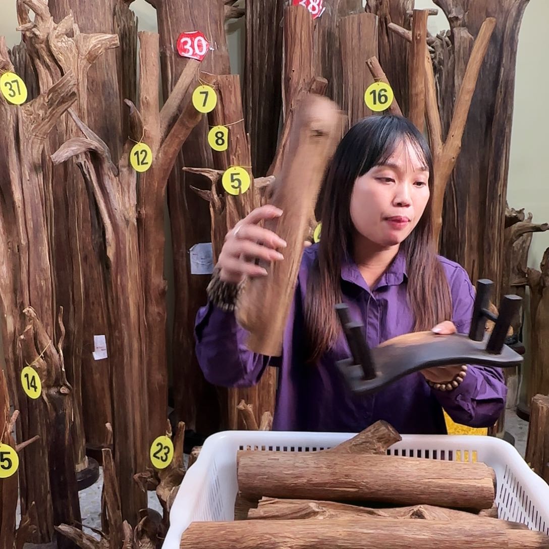 沉香沉香碎屑天然沉香原材料香料熏料