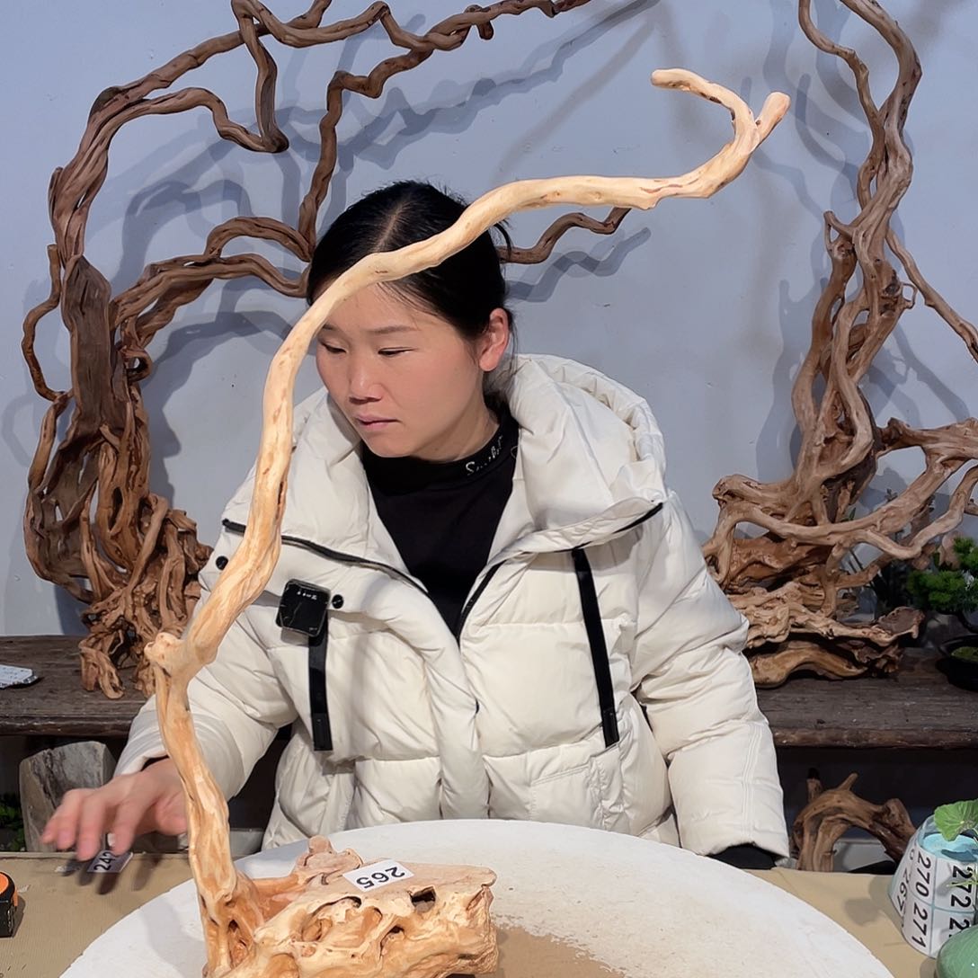 核桃木/黑胡桃（胡桃木）糖****官