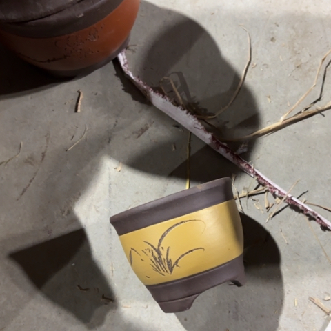 100-12。        12-10