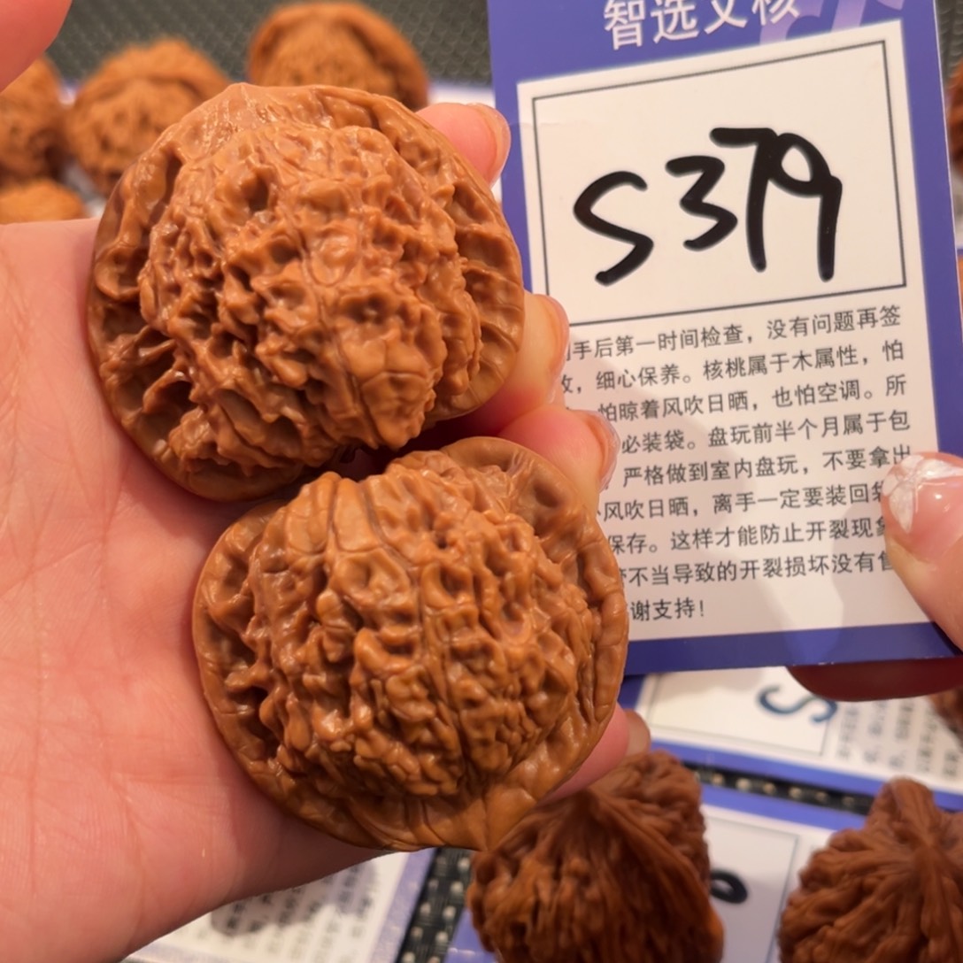 核桃S379号官帽45尺