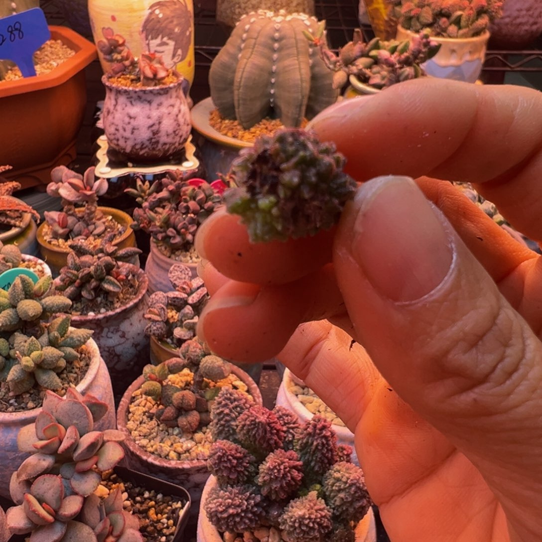 风****好的好吧好吧好吧好的