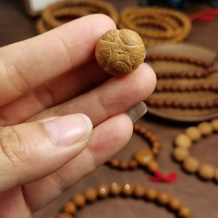 凤眼菩提手串尼泊尔凤眼菩提五星