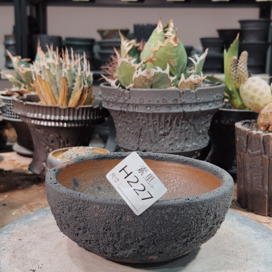 景德镇手工素里内口15.5高7