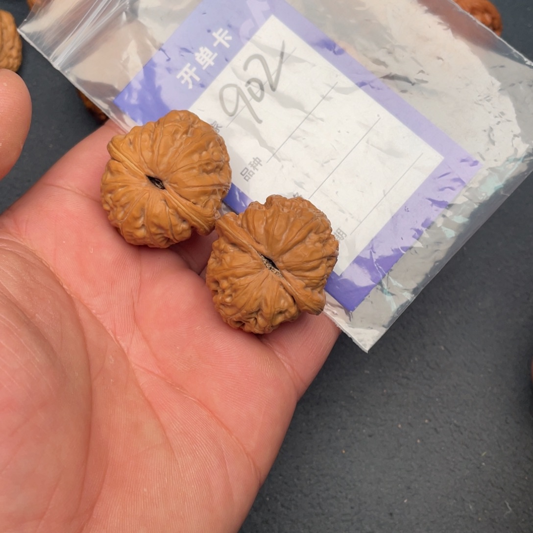 核桃把件38元宝，902号