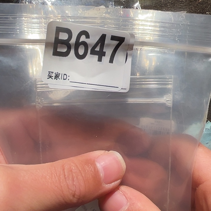 大果紫檀（缅甸花梨）647