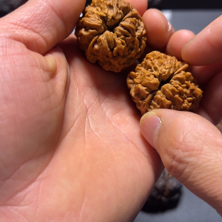 文玩核桃把件B舍利子36mm