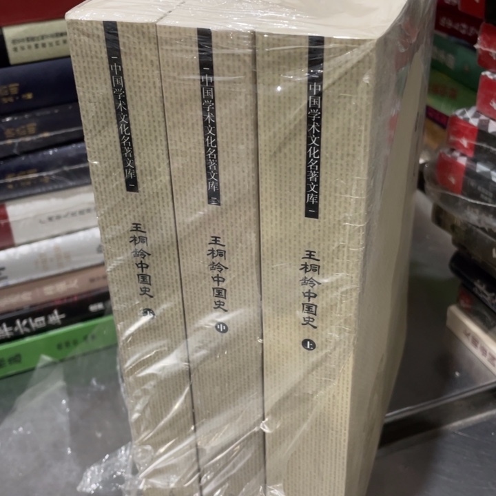 王铜龄中国史全三册