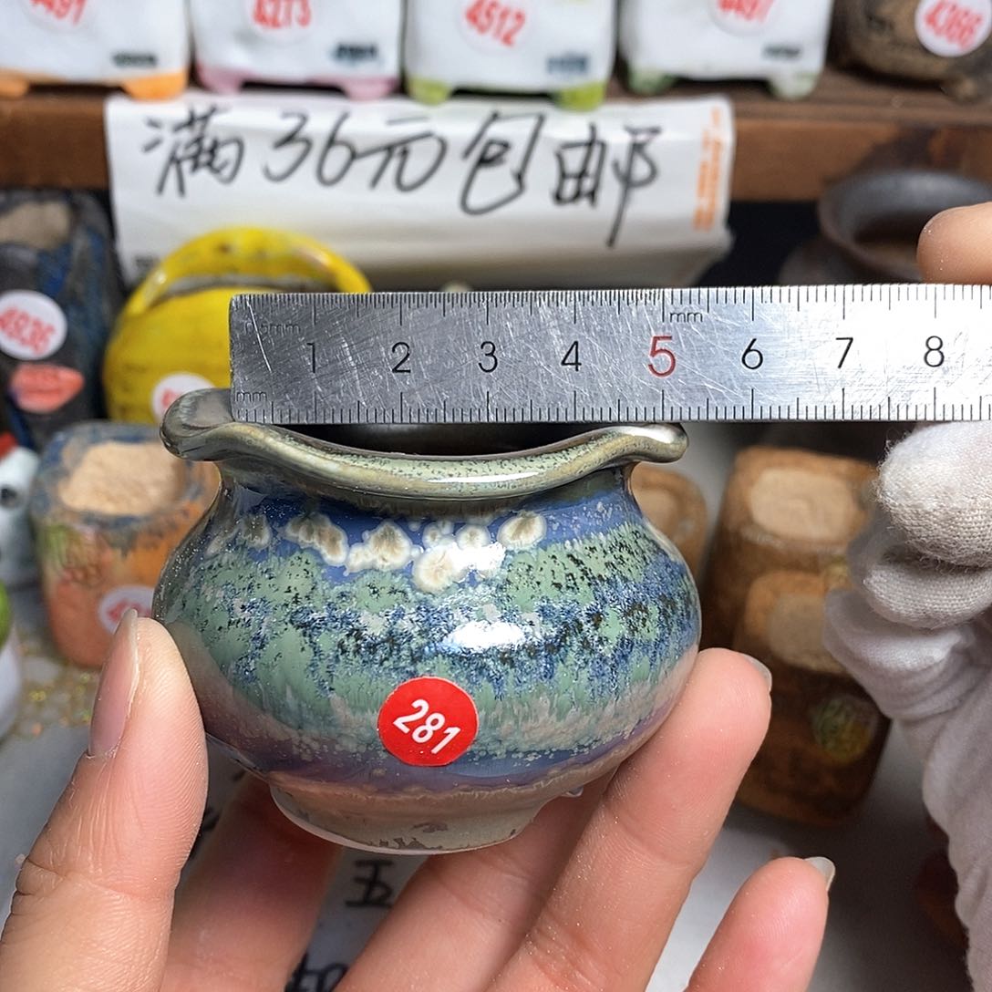 红陶拍5送一个小