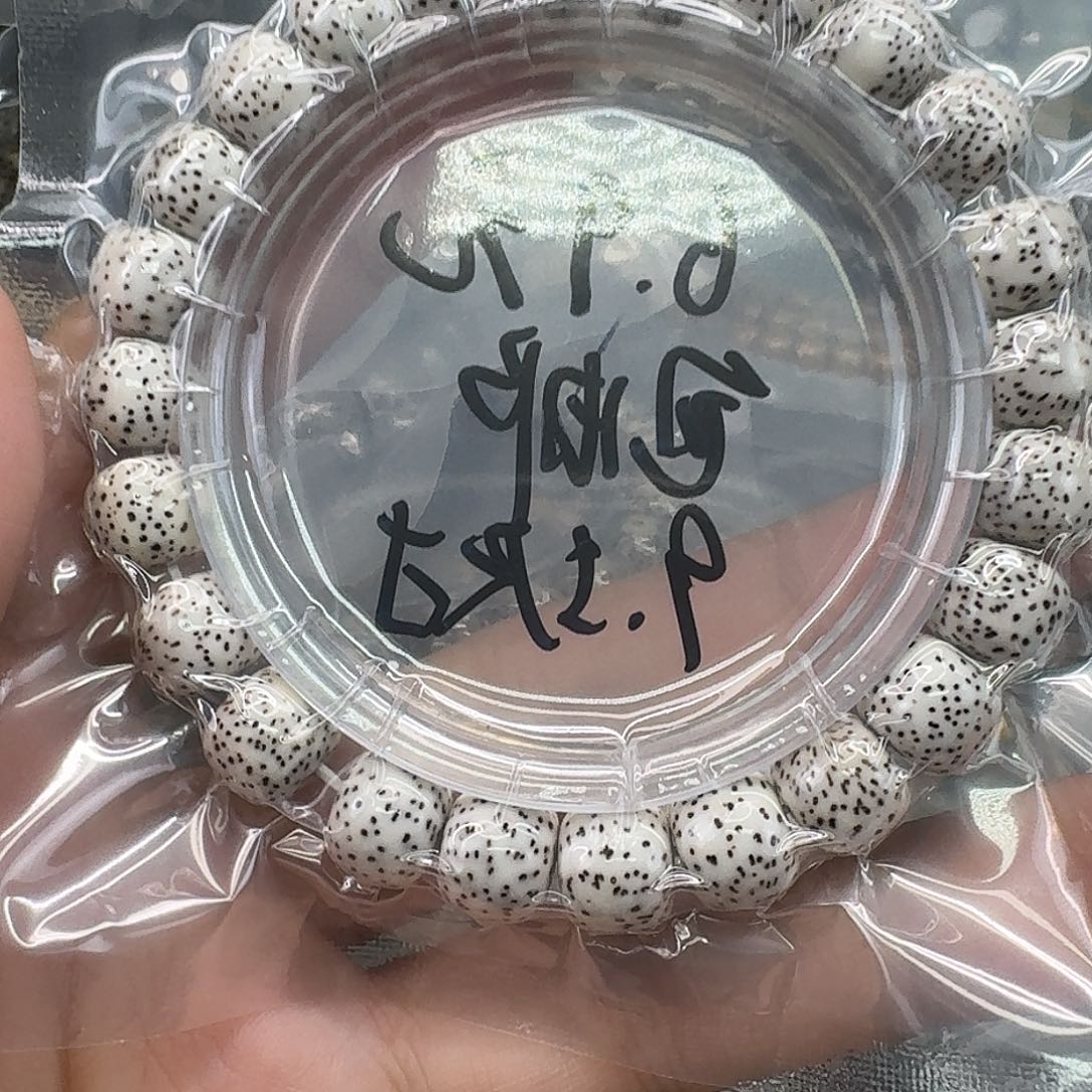 手串星月菩提1顺白9.5