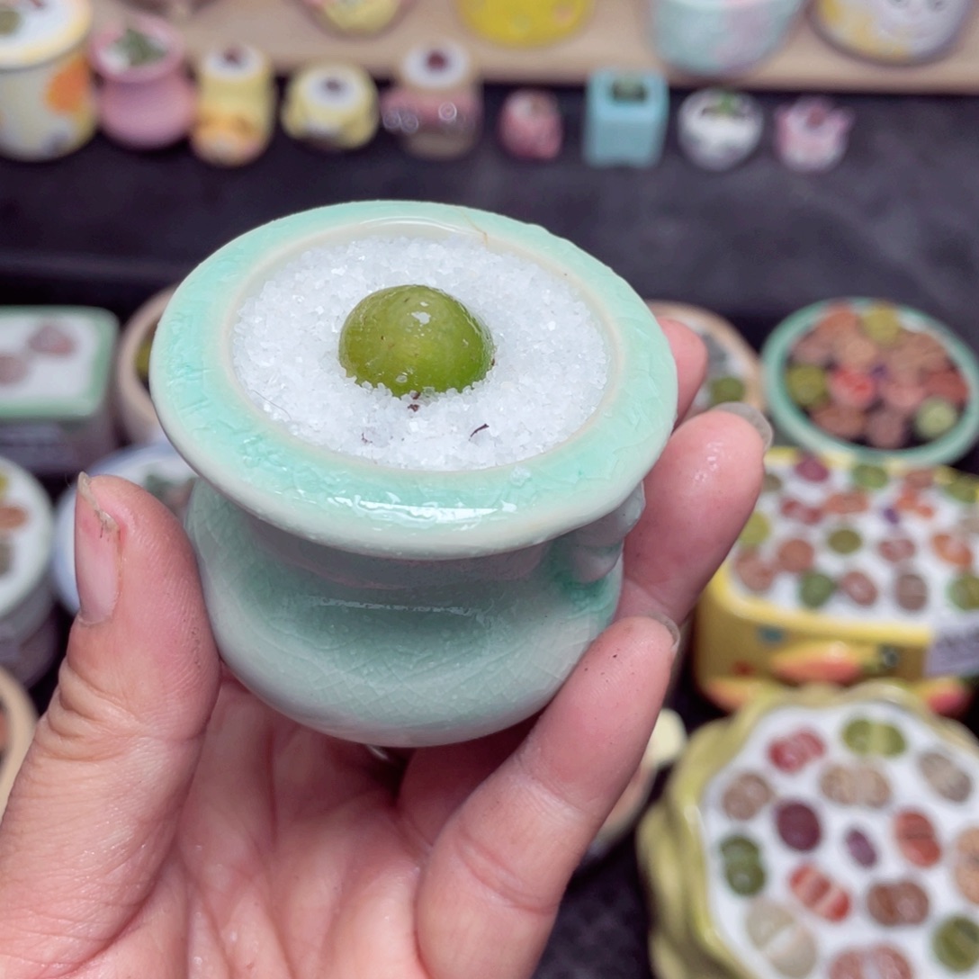 w8778 带盆土发货-零下地区拍保温箱