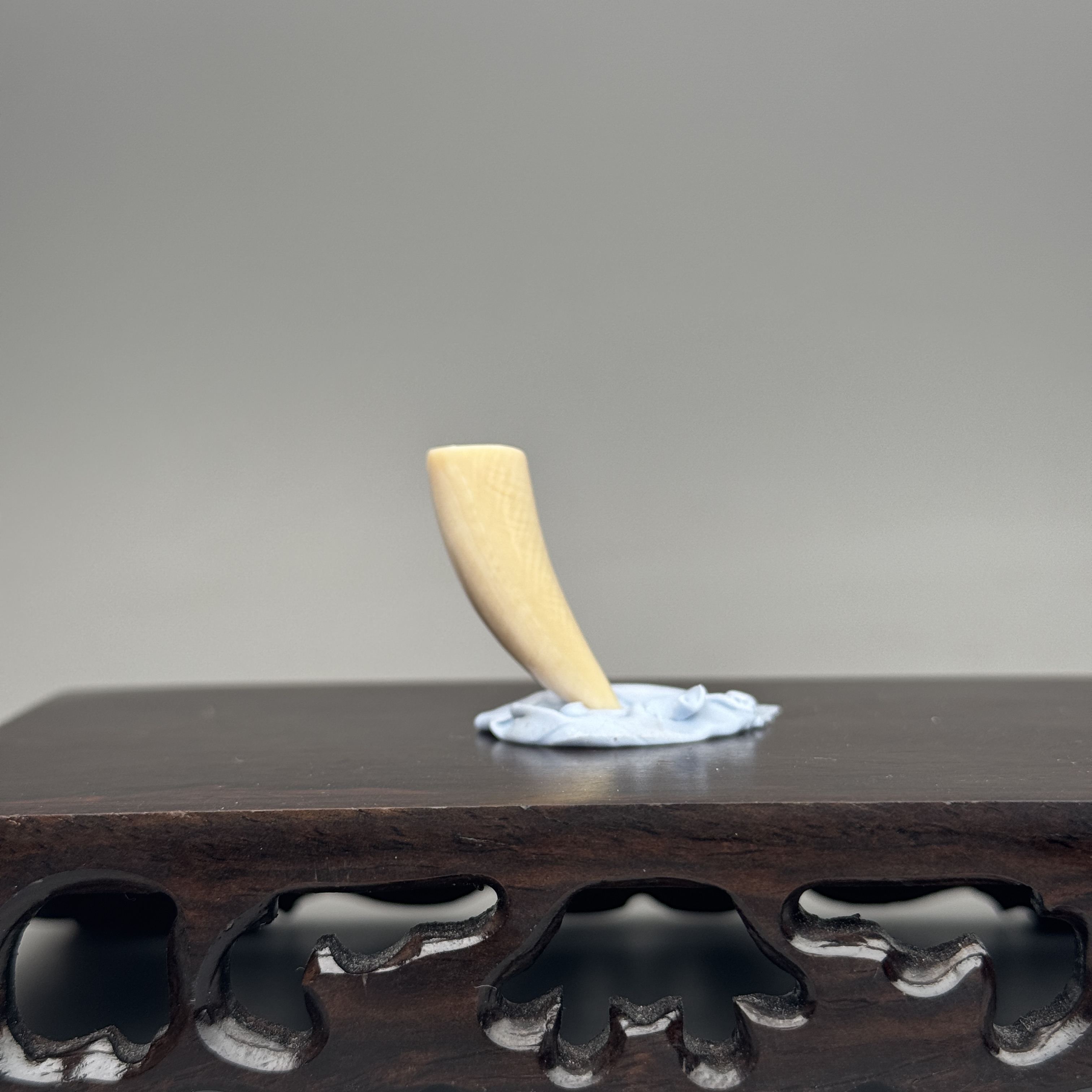 DEZHI/德志31*11*9mm3.1g牙尖吊坠天然猛犸牙C32