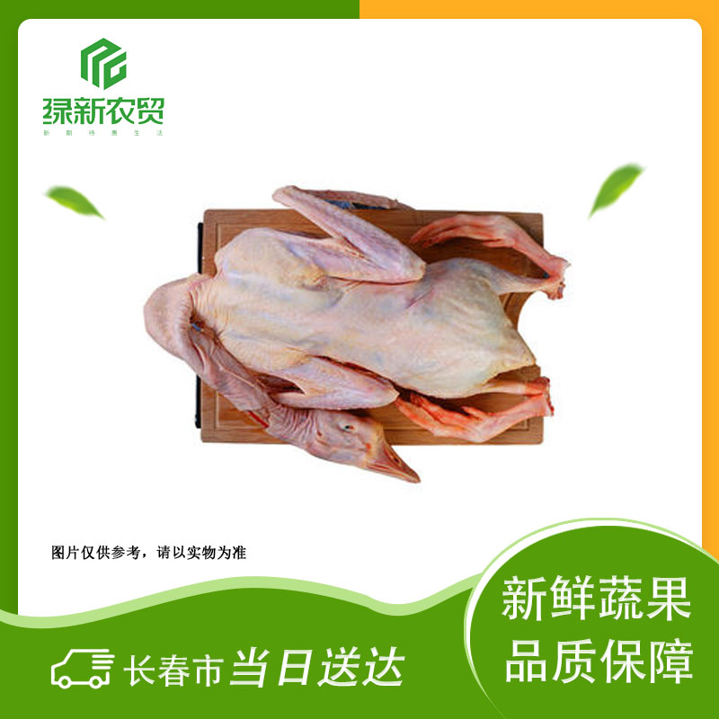 鲜东北大鹅 约6.5-7斤/只（带内脏）