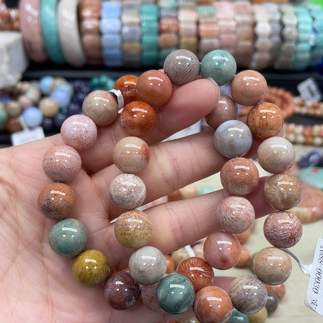 未镶嵌手串硅化珊瑚（珊瑚玉）734