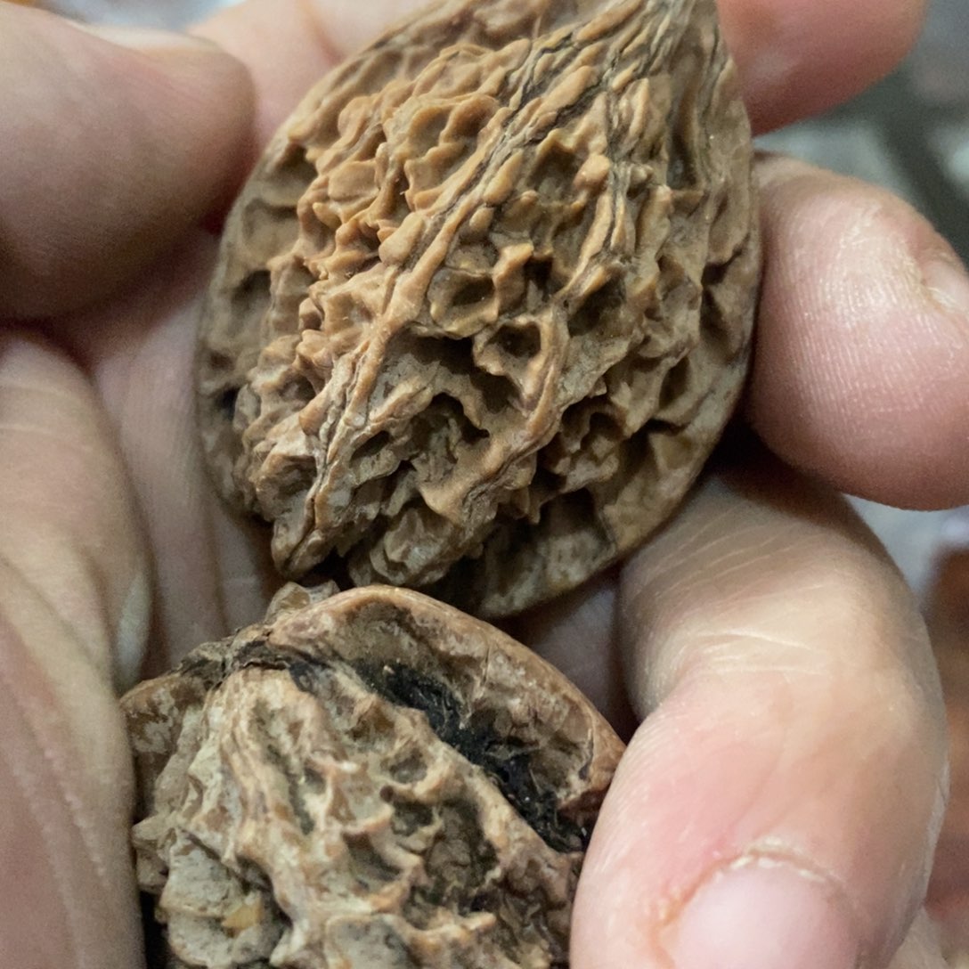 秦岭山脉东面至黄河