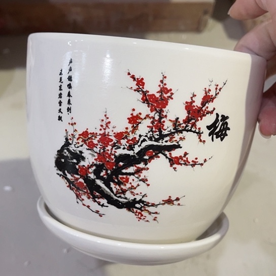 多肉绿植陶瓷花盆9.9包邮，有孔