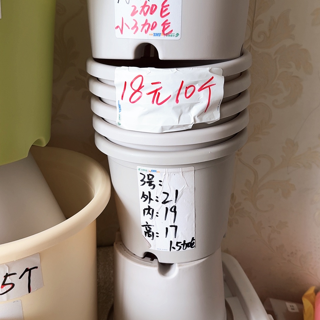 灰白色3号无拖10个