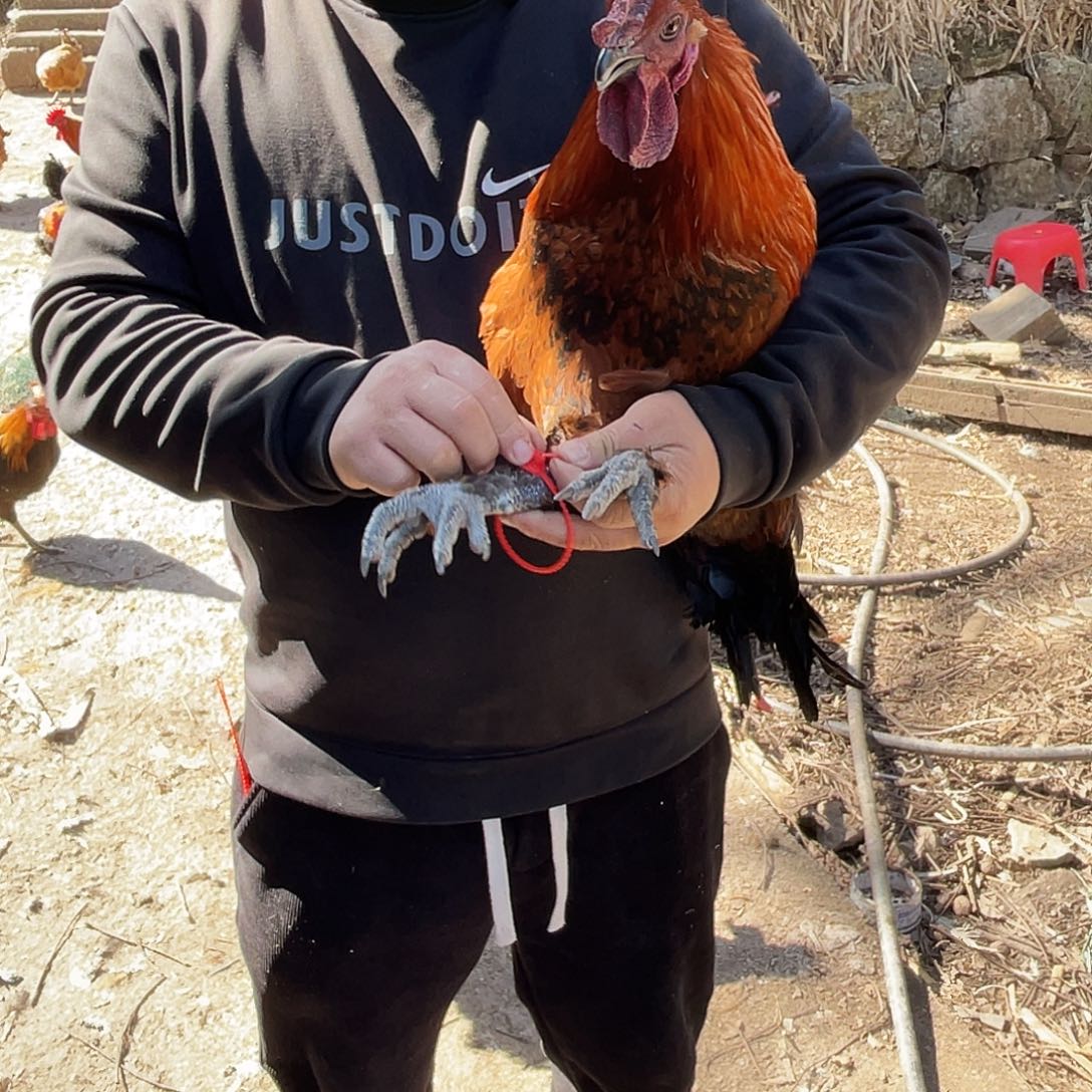 211111111中国大陆包装291活