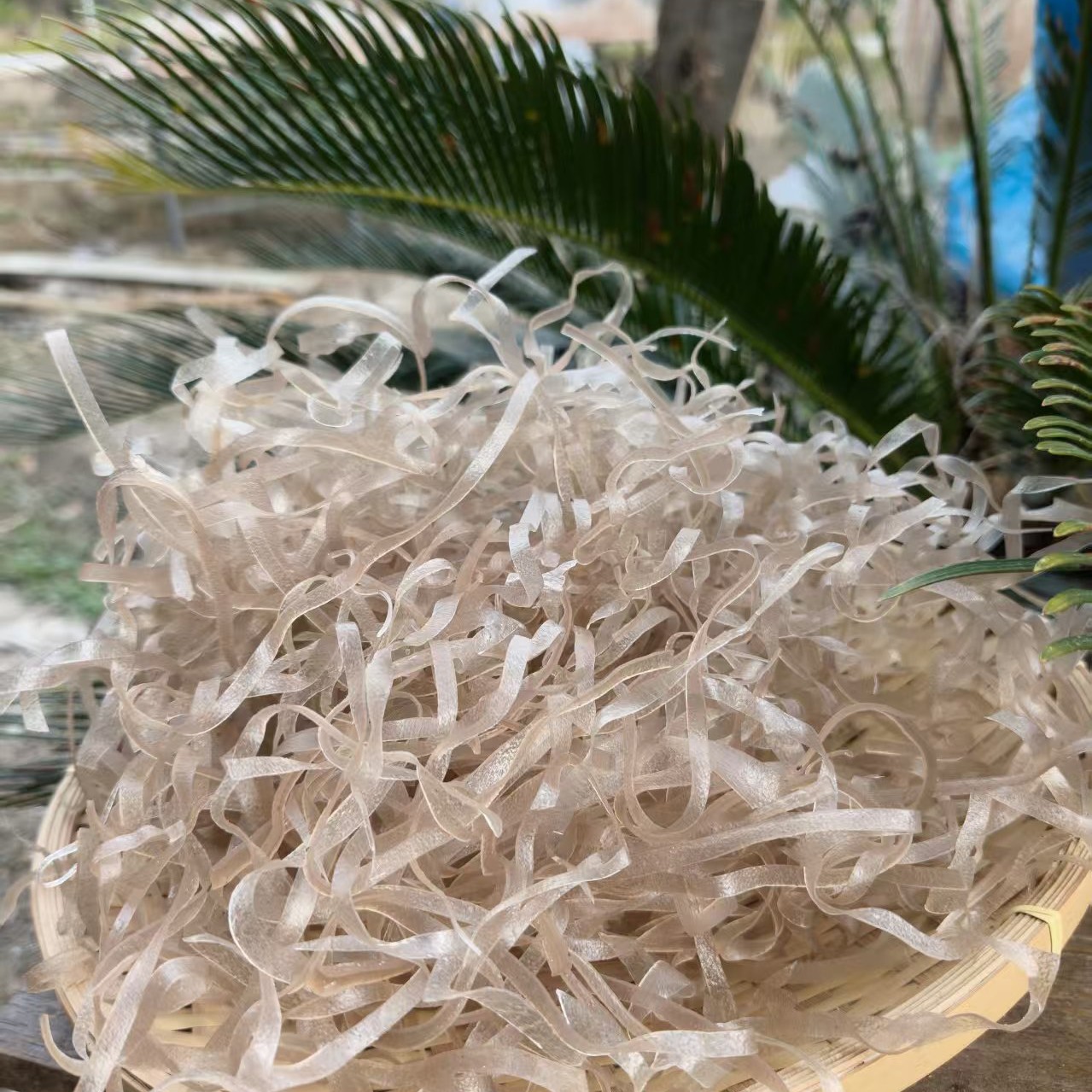 短红薯粉条无添加      