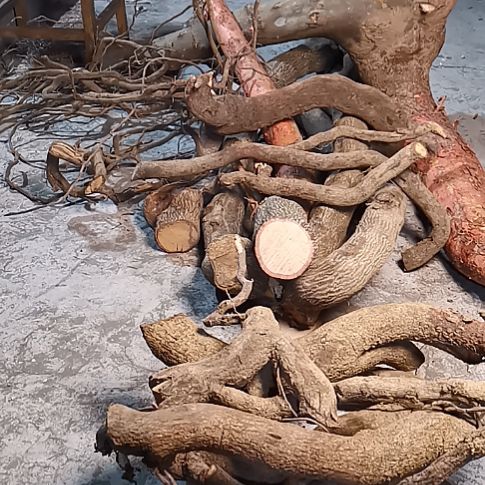 万***属中国大陆藤杜仲整棵根部7斤