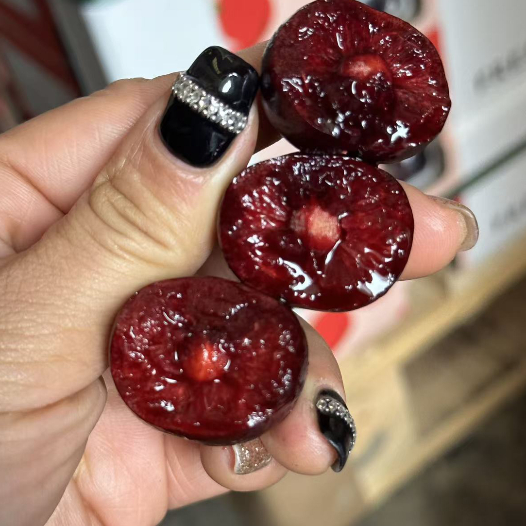 2 J D石头果桑缇娜车厘子智利海运3斤智利