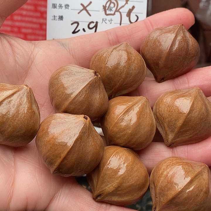 手串/手链橄榄核哝*亾