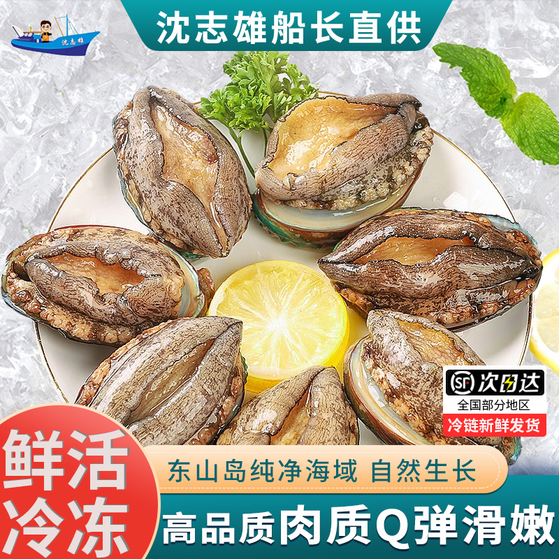 12个皇金鲍鱼 7公分左右/个 福建东山岛澳角村深海鲍鱼 新鲜速冻