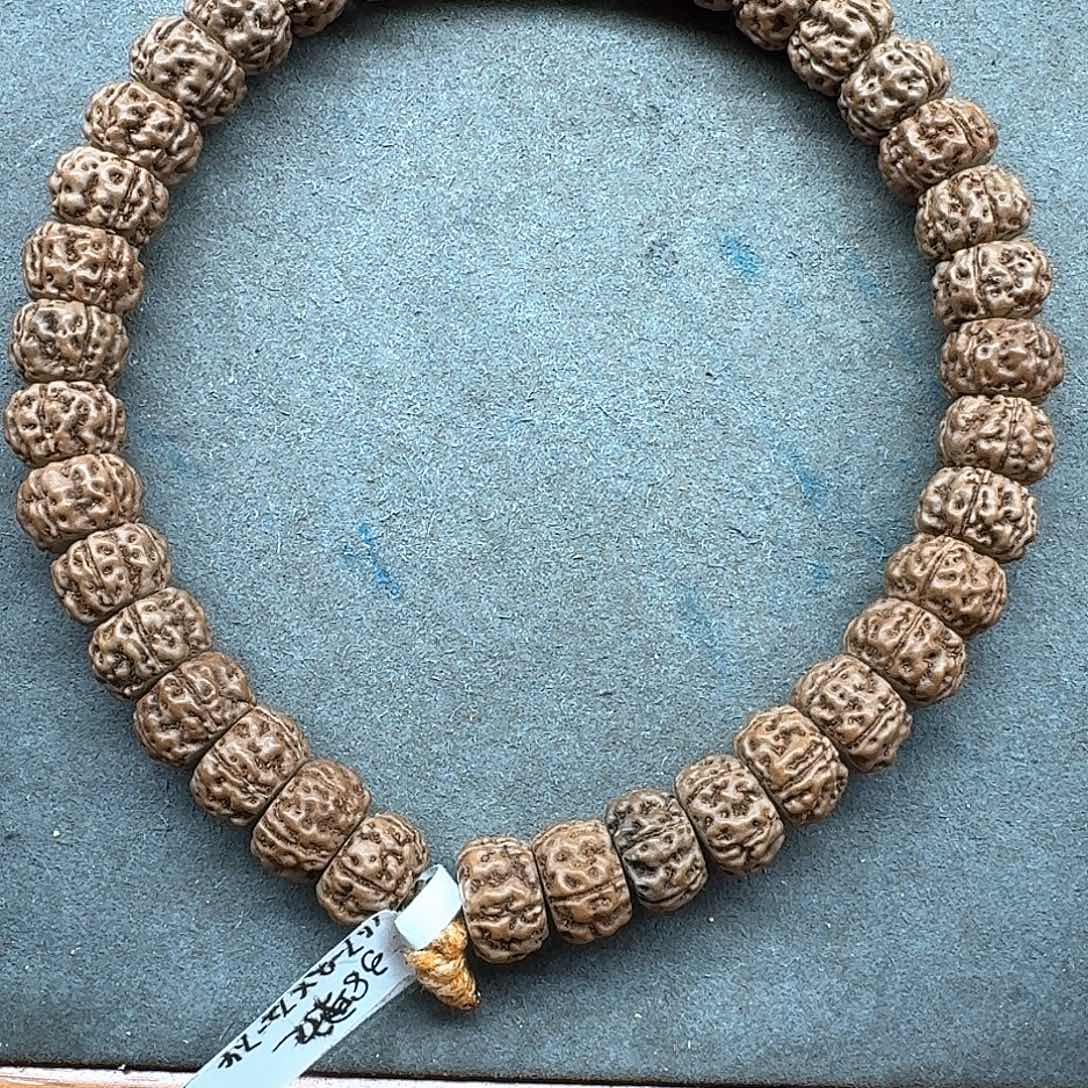 金刚菩提吊坠藏切盘龙11.7-12