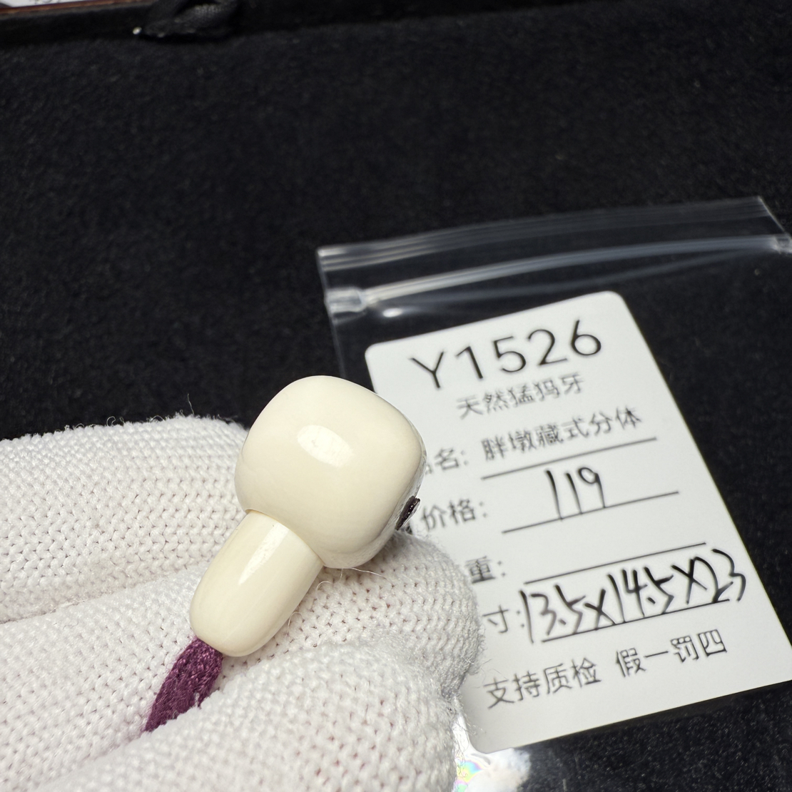 Y1526天然猛犸象牙藏式分体三通胖墩分体13.5*14.5*23mm