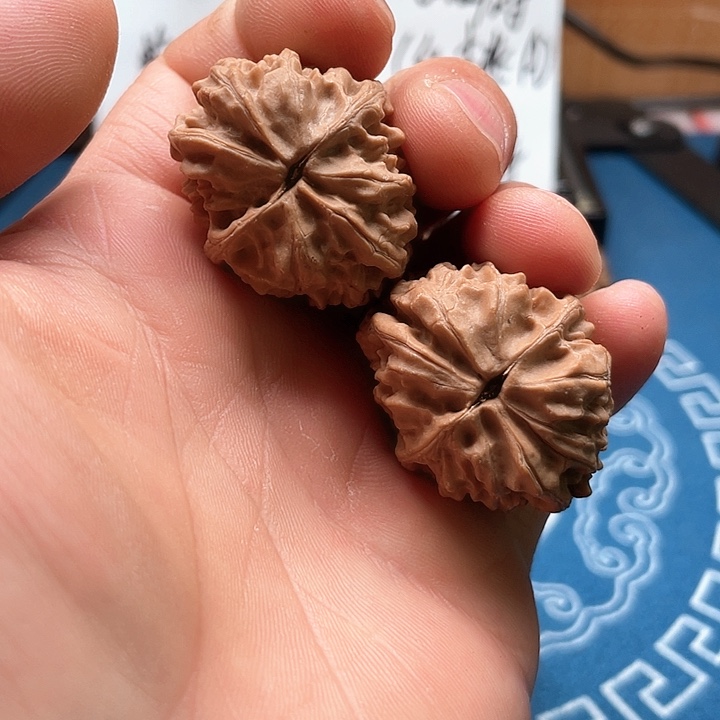 文玩核桃吊坠慧風元宝