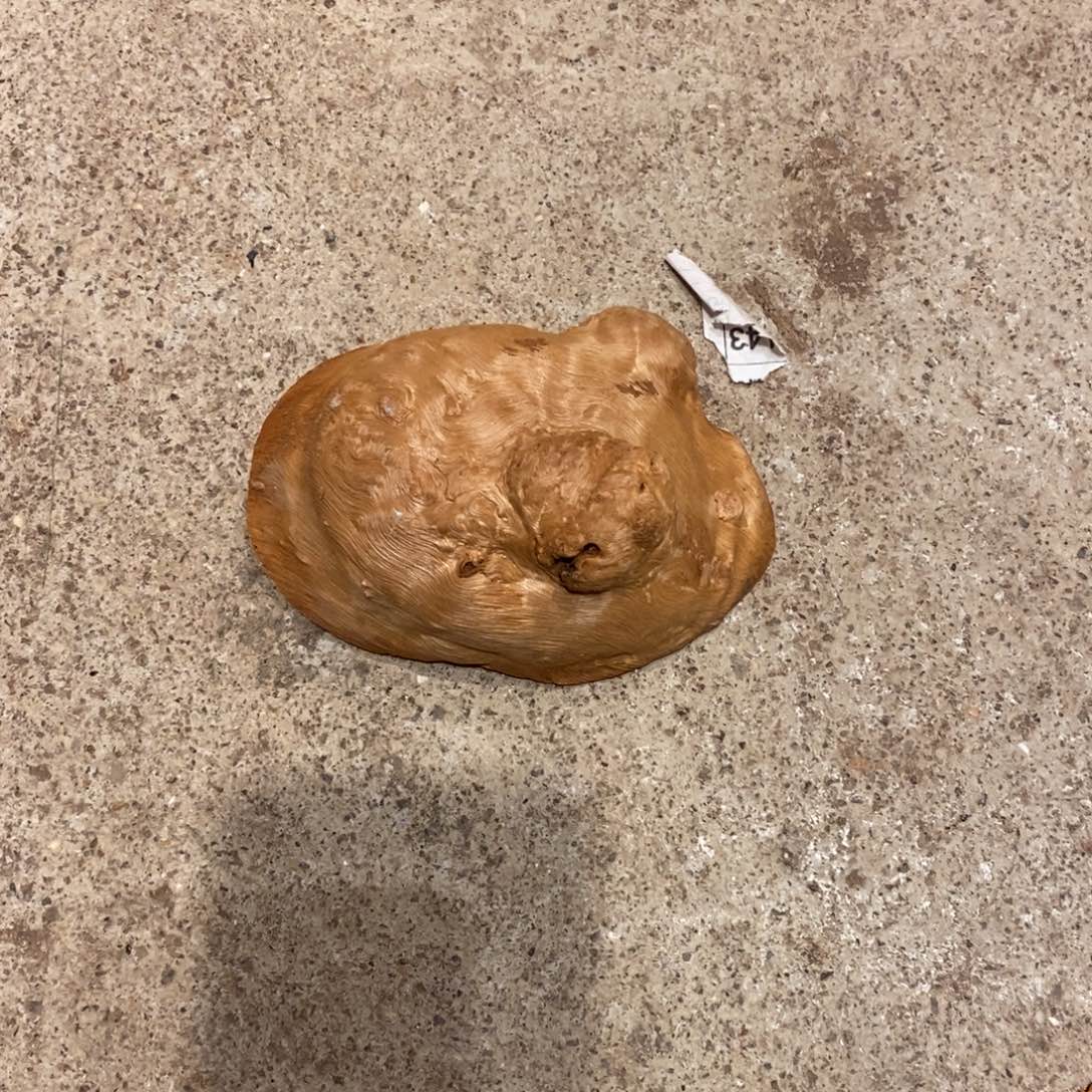 上***亦荔枝木随形木材一个