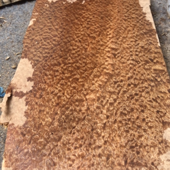 心***居大果紫檀（缅甸花梨）