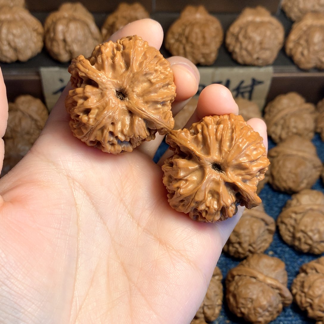 桃核吊坠1*°苹果园核桃